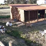 Casa Da Ria - Country house *