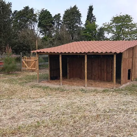 Casa Da Ria - Gospodarstwo wiejskie