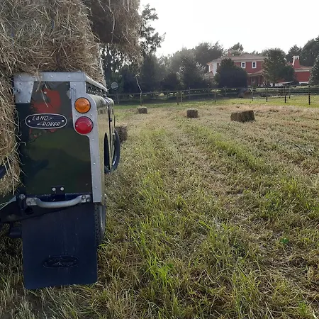 Casa Da Ria - Ílhavo