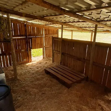 Gospodarstwo wiejskie Casa Da Ria - *