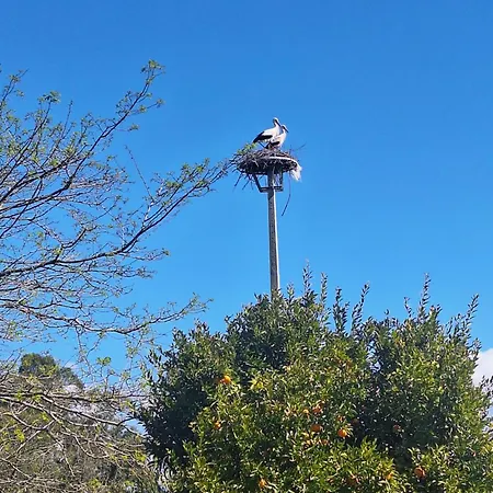 Casa Da Ria - Gospodarstwo wiejskie Ílhavo