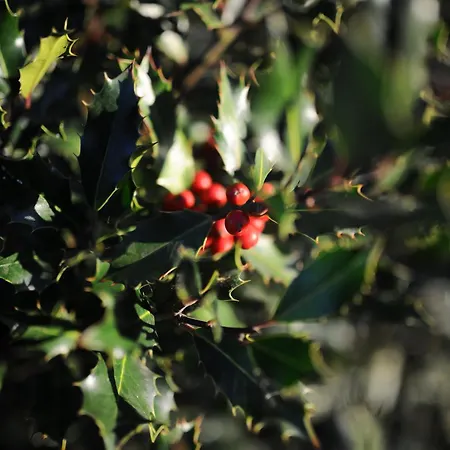 Casa Da Ria - * Ílhavo