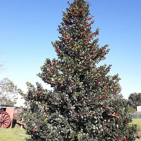 Casa Da Ria - Gospodarstwo wiejskie