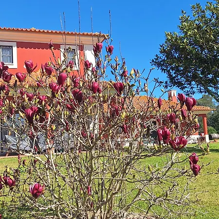 Country house Casa Da Ria - *