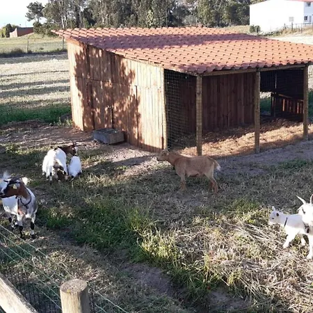 Casa Da Ria - Casa di campagna *