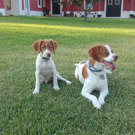 Casa Da Ria - Ílhavo