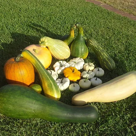 Gospodarstwo wiejskie Casa Da Ria - *