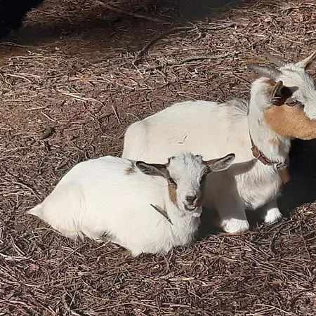 Casa Da Ria - Gospodarstwo wiejskie Ílhavo