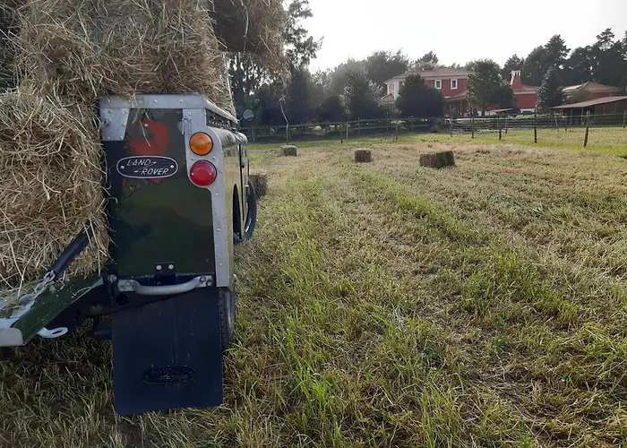 Casa Da Ria - Ílhavo