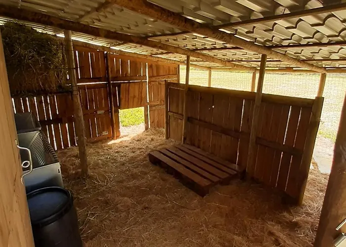 Séjour à la campagne Casa Da Ria - *