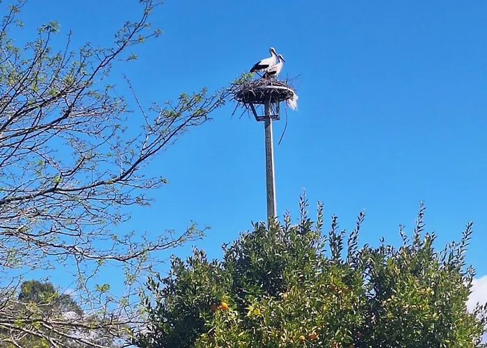Casa Da Ria - Séjour à la campagne Ílhavo