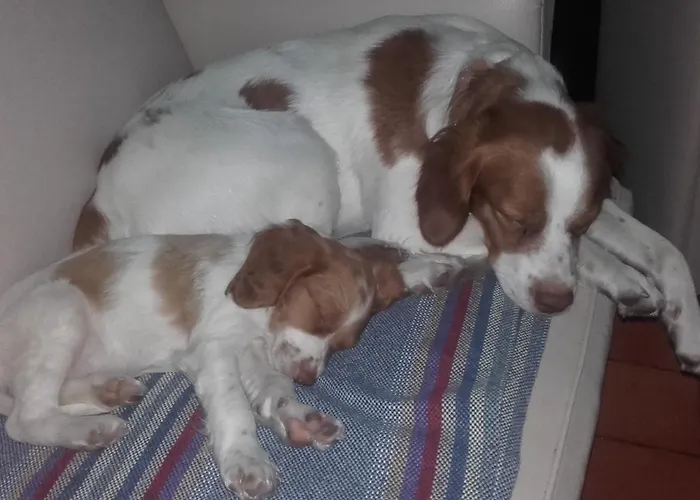 Casa Da Ria - Ílhavo