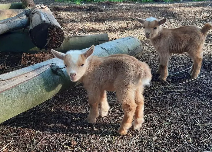 Casa Da Ria - Séjour à la campagne Ílhavo
