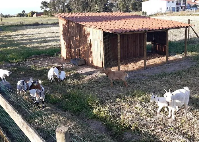 Casa Da Ria - Séjour à la campagne *