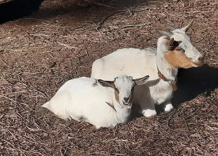 Casa Da Ria - Séjour à la campagne Ílhavo